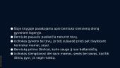 Geltonas lopas - knygos pristatymas