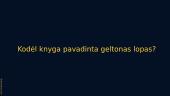 Geltonas lopas - knygos pristatymas 2 puslapis