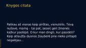 Geltonas lopas - knygos pristatymas 6 puslapis