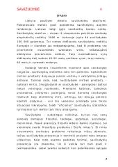 Savižudybės samprata, rizika bei prevencija 3 puslapis