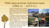 Skaidrės. Vietnamo karas 3 puslapis
