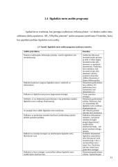 UAB ,,Vilkyškių pieninės‘‘ ilgalaikio turto auditas 12 puslapis