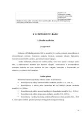 UAB ,,Vilkyškių pieninės‘‘ ilgalaikio turto auditas 13 puslapis