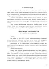 UAB ,,Vilkyškių pieninės‘‘ ilgalaikio turto auditas 16 puslapis