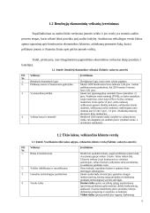 UAB ,,Vilkyškių pieninės‘‘ ilgalaikio turto auditas 4 puslapis