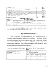 UAB ,,Vilkyškių pieninės‘‘ ilgalaikio turto auditas 9 puslapis