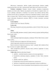 E - mokymo aspektai dėstant fizikos kursą „Lęšiai“ 8 puslapis