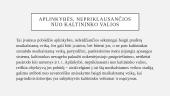 Pasikėsinimas padaryti nusikalstamą veiką. Pasikėsinimo atribojimas nuo rengimosi padaryti nusikaltimą 4 puslapis