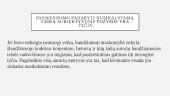 Pasikėsinimas padaryti nusikalstamą veiką. Pasikėsinimo atribojimas nuo rengimosi padaryti nusikaltimą 5 puslapis