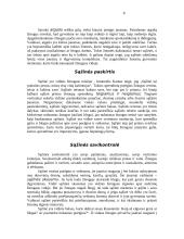 Kas yra sąžinė? Doroviniai jausmai susiję su sąžine 11 puslapis