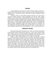 Kas yra sąžinė? Doroviniai jausmai susiję su sąžine 3 puslapis