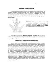 Kas yra sąžinė? Doroviniai jausmai susiję su sąžine 4 puslapis