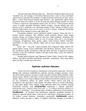 Kas yra sąžinė? Doroviniai jausmai susiję su sąžine 5 puslapis