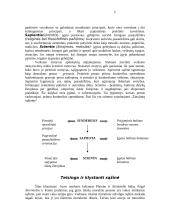 Kas yra sąžinė? Doroviniai jausmai susiję su sąžine 6 puslapis