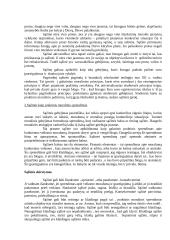 Sąžinės samprata, skirstymas ir kilmė 3 puslapis