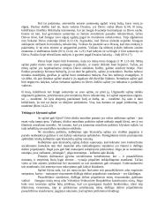 Sąžinės samprata, skirstymas ir kilmė 5 puslapis