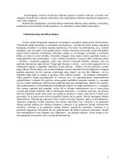 Sąžinė ir tolerancija 2 puslapis