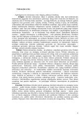 Sąžinė ir tolerancija 3 puslapis