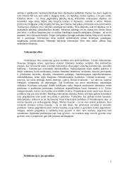 Sąžinė ir tolerancija 4 puslapis