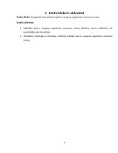 Galvos smegenų magnetinio rezonanso tomografijos tyrimas 3 puslapis