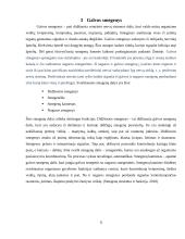 Galvos smegenų magnetinio rezonanso tomografijos tyrimas 4 puslapis