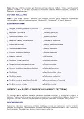 SCALA verslo valdymo sistemos moduliai 6 puslapis