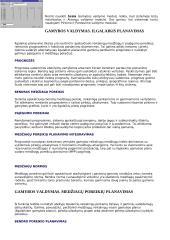 SCALA verslo valdymo sistemos moduliai 10 puslapis