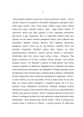 Scenos apšvietimas 3 puslapis