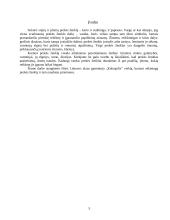 Sėkmingo prekės ženklo formulė: "Kalnapilis" 3 puslapis