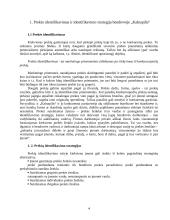 Sėkmingo prekės ženklo formulė: "Kalnapilis" 4 puslapis