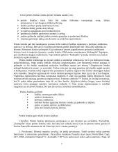 Sėkmingo prekės ženklo formulė: "Kalnapilis" 7 puslapis