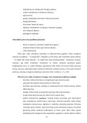 Seksualinis smurtas prieš vaikus šeimoje 10 puslapis