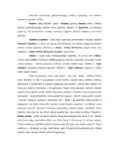 Semantizmai 7 puslapis