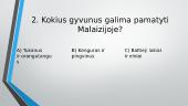 Malaizija 12 puslapis