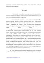 Senėjimo problema 2 puslapis