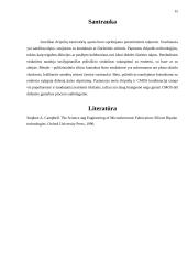 Silicio dvipolės technologijos 15 puslapis