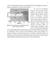 Silicio dvipolės technologijos 5 puslapis