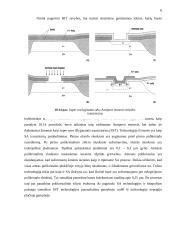 Silicio dvipolės technologijos 6 puslapis