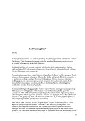 Silikatiniai ir gipsiniai gaminiai 11 puslapis