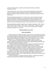 Silikatiniai ir gipsiniai gaminiai 12 puslapis