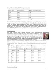 Silikatiniai ir gipsiniai gaminiai 5 puslapis