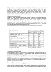 Silikatiniai ir gipsiniai gaminiai 6 puslapis