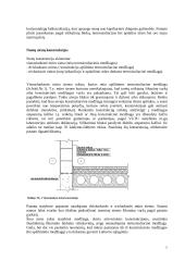Silikatiniai ir gipsiniai gaminiai 7 puslapis