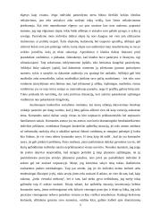 Simbolinės sąveikos teorija 11 puslapis