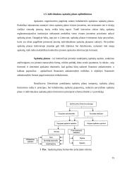 Apskaitos praktikos darbo ataskaita 15 puslapis