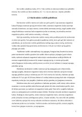 Sinchroniniai varikliai, privalumai ir trūkumai 5 puslapis