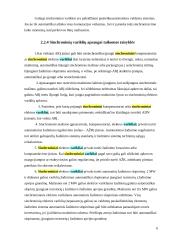 Sinchroniniai varikliai, privalumai ir trūkumai 6 puslapis