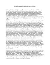 Rašinys perskaičius Antano Škėmos „Baltą drobulę“