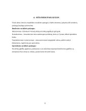 Socialinis darbas - šeimos analizė 10 puslapis