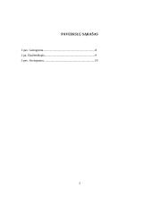 Socialinis darbas - šeimos analizė 2 puslapis